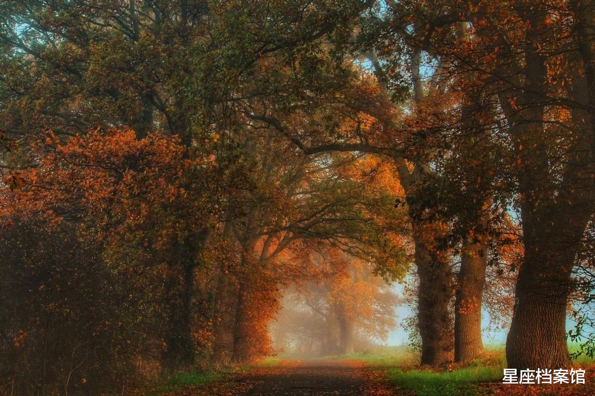 星座档案馆 嘴笨心诚的星座，可能不会说我爱你，但愿意陪你到老