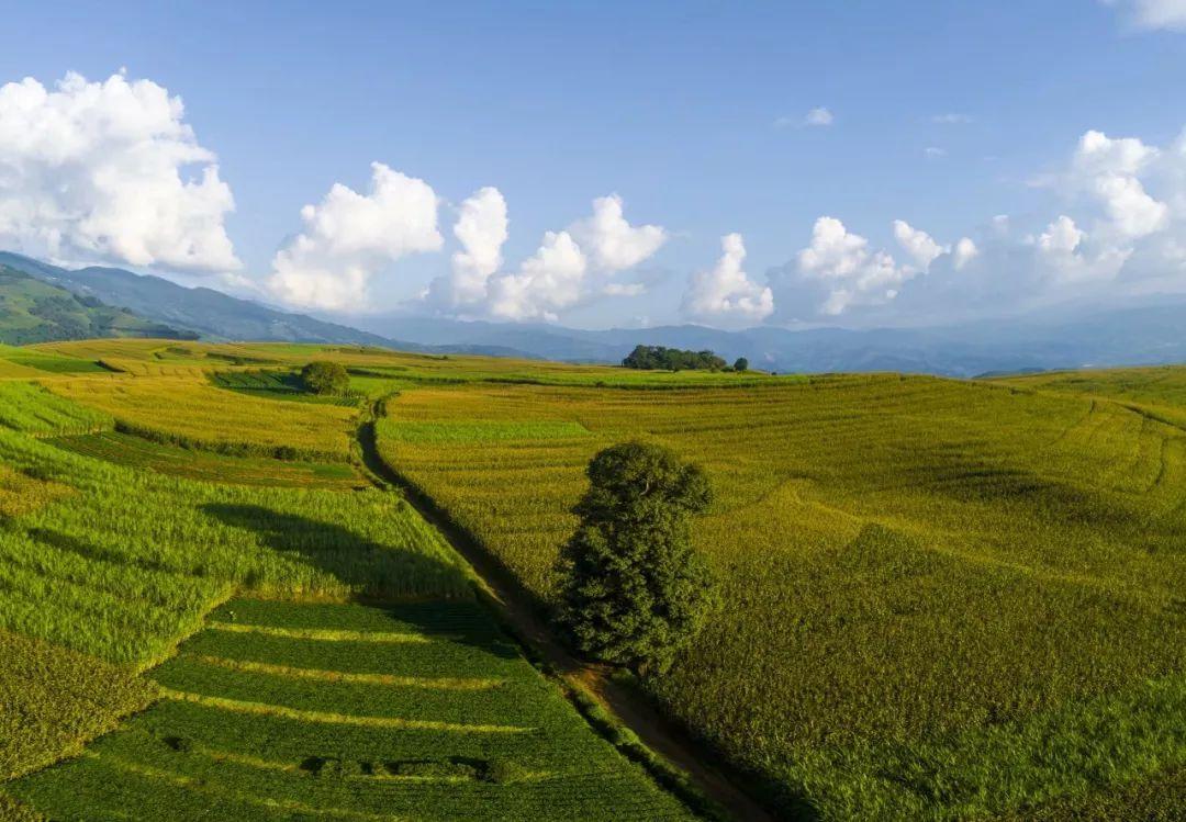 宜宾 云南澜沧一个小镇，人口不足5万，却有近30家KTV，夜晚无比嘈杂