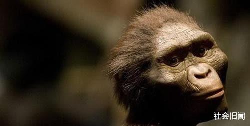 南方古猿 人类祖先并非没有天敌,远古时期曾出现一种猛兽,差点将它们吃灭绝