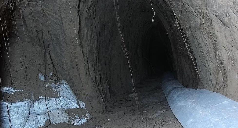 山西省 2021年，山西果农召集陕西高手盗挖枣林，得青铜断剑1把，卖了2万