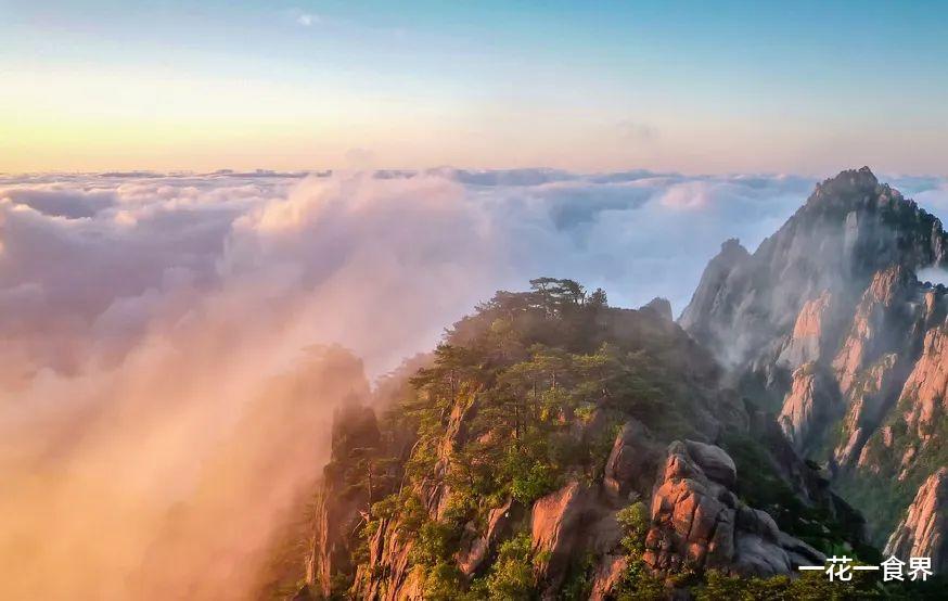 一花一食界|如果你想去黄山，那就看看吧~（上）