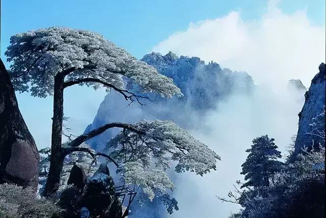 贝加尔湖|国内最适合拍雪景的10个地方，每一个都绝美，你打算去哪拍呢？