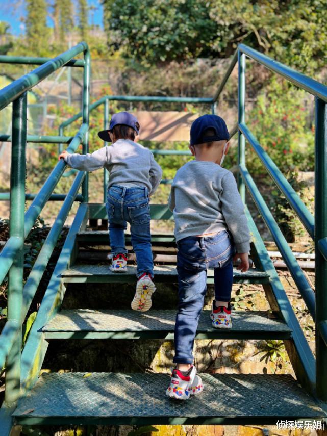 李乘德|胡杏儿带三宝开工，李乘德携俩儿子陪爷爷散步，祖孙同框温馨十足