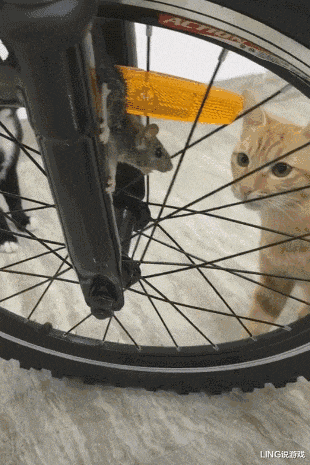 大家上卫生间时是喜欢蹲便器还是马桶呢？