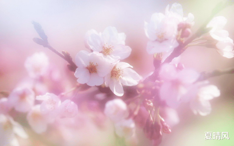 夏晴风|不想余生悲凉，就不要嫁给这些男人，嫁了后早晚会后悔