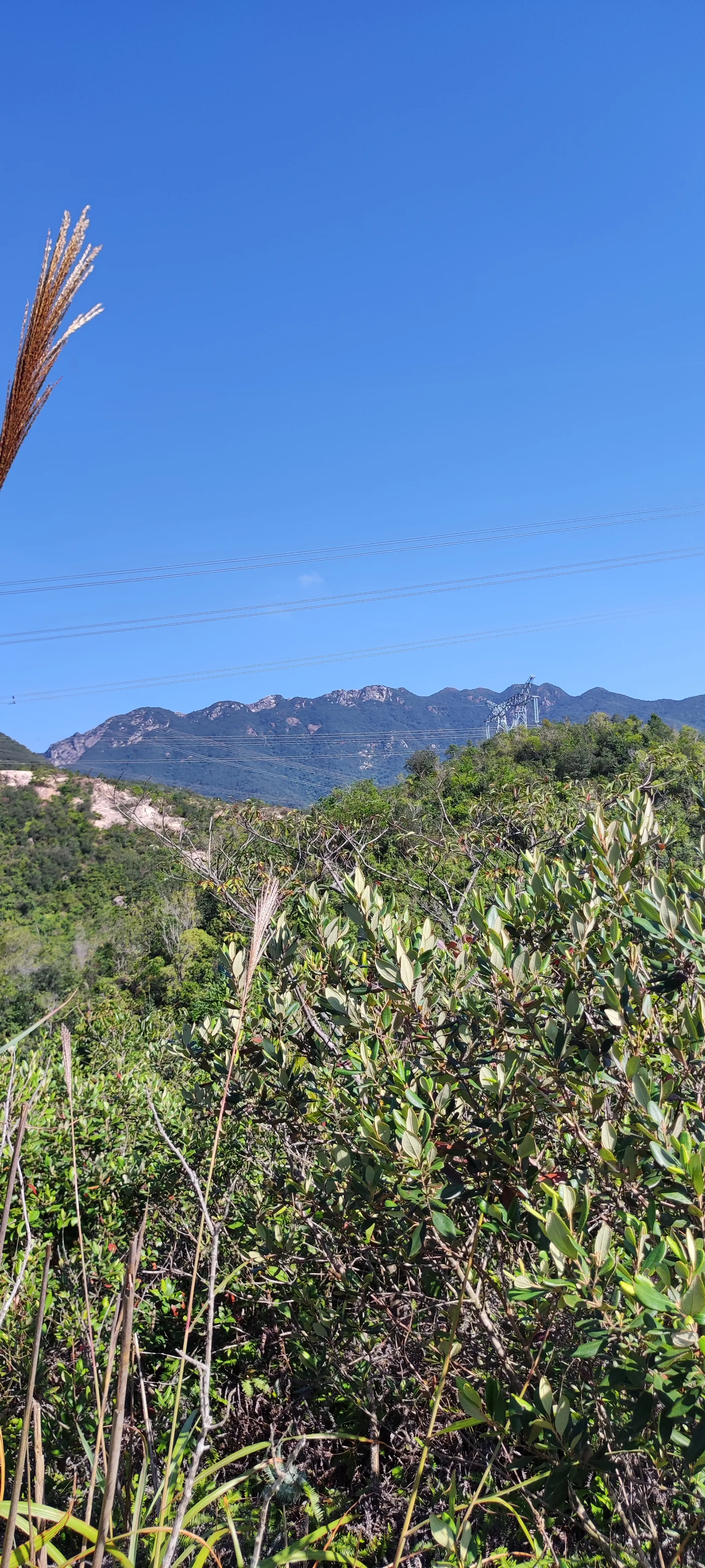 海参崴|深圳大鹏半岛，登顶排牙山记录