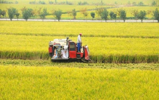小超侃事|粮食补贴落地,今年每亩地补贴将调成这个数,涉及家家户户