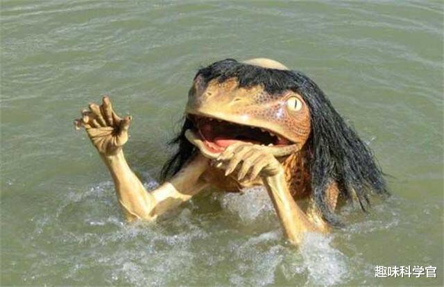 树懒 传闻中的\水猴子\，上个厕所都有危险，一半同类死在拉屎的路上