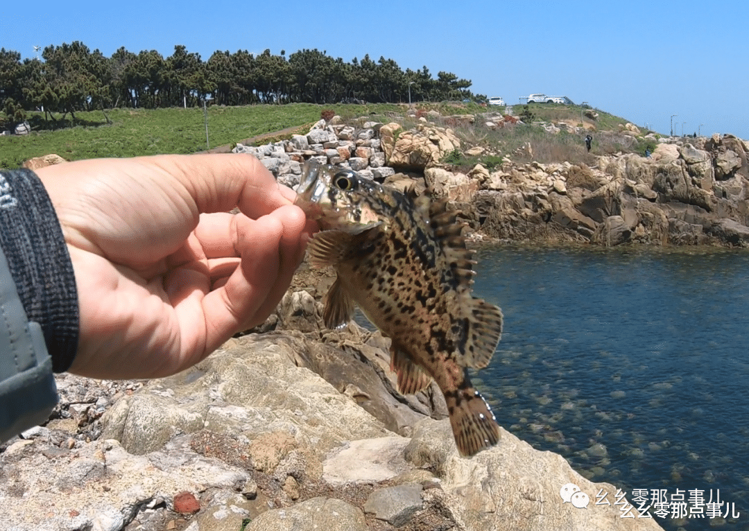 幺幺零那点事儿 捡海星、抓螃蟹、钓海鱼！北京到青岛的边玩边钓之旅不要太爽