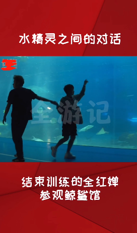 全红婵|全红婵出镜！全程拉着谢思埸的手，见到大海龟很兴奋，在水里像美人鱼