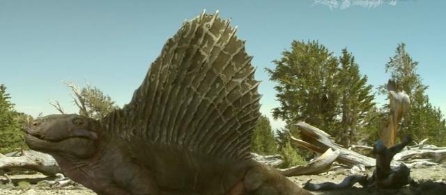  多个迹象表明第六次大灭绝已经来临？这真不是在开玩笑