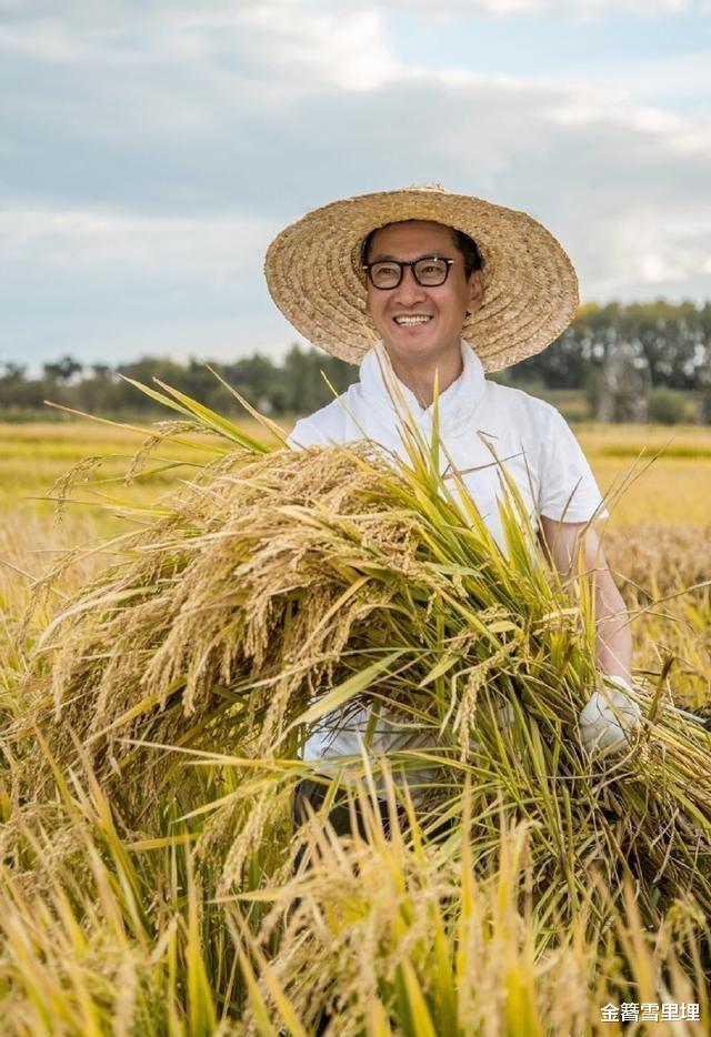 周杰|还珠格格：三姐妹接连出事，苏有朋或受牵连，只有周杰才是一股清流