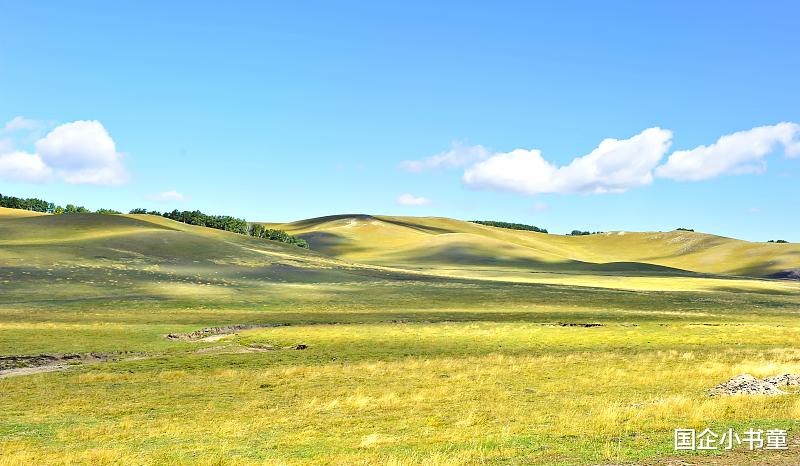 星座|2021内蒙烟草招聘在即，多岗位可选，五险一金，月入过万不是梦！