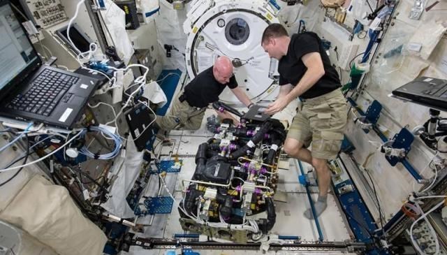 人类能在太空中繁衍后代吗?NASA:可以,但是很不方便