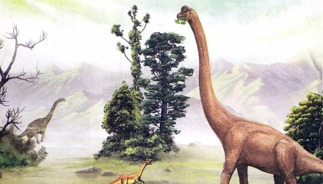 恐龙 恐龙称霸地球上亿年，为何没有像人类一样，进化称高等智慧生物？