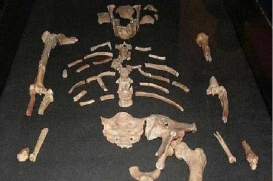 科学家 俄罗斯科学家为永生，注射350万年前的猛犸象细菌，后来怎样了？