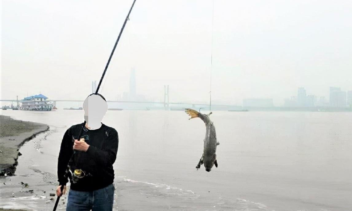 摄像头|可视锚鱼也算钓鱼？钓友：大鱼都锚没了，只有小鱼闹窝