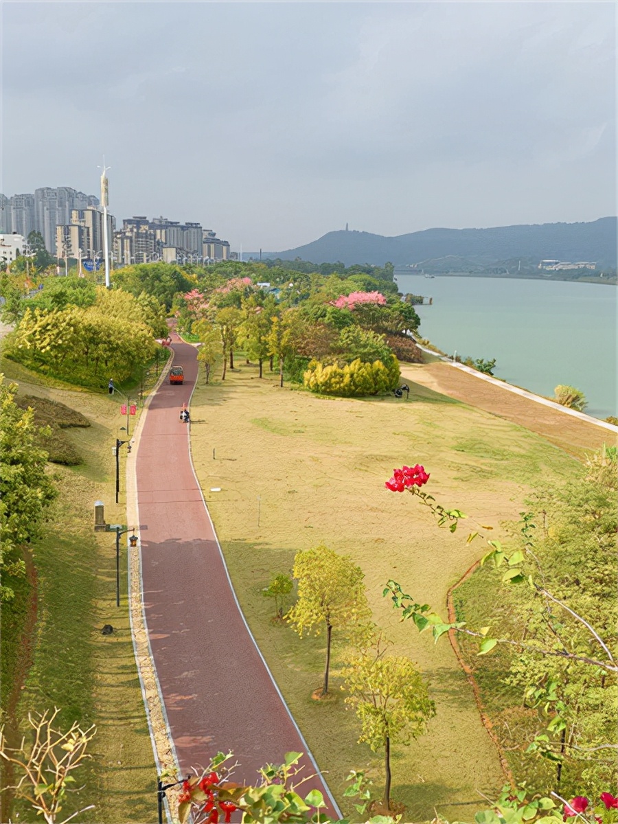 |走了蟠龙一圈后，我悟了：南宁五象老大哥，还缺啥？