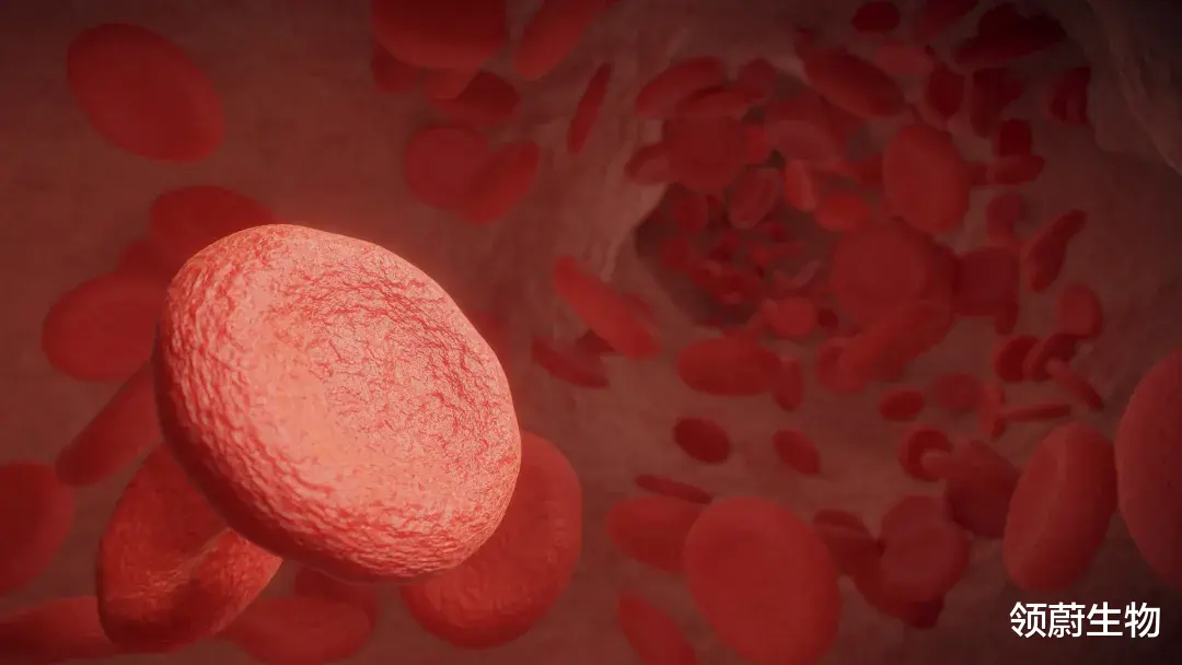 胚胎干细胞 都说干细胞可以再生，人体内的干细胞是无穷无尽的吗？