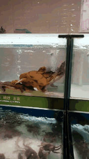 鑫宝聊育儿|“自从换了一个外卖妹子，我一天点13次！”哈哈哈身体已经吃不消了