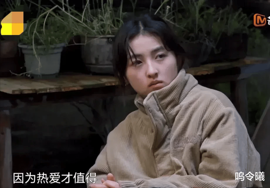 张子枫|张子枫的清醒，打脸了多少明星借着饭局攀关系，管你是天后那英，还是才女梁静