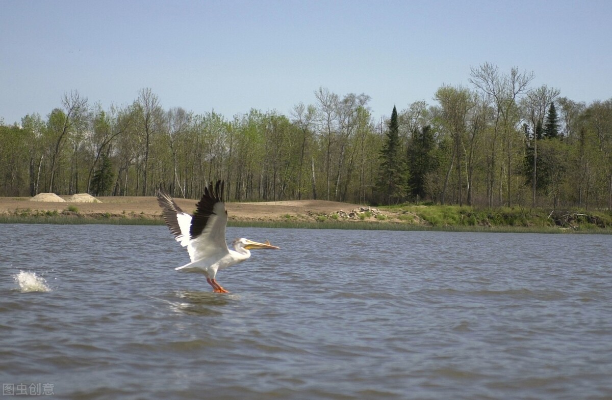 打麻将|钓鱼有7大害处8个好处，到底是钓呢还是戒了呢