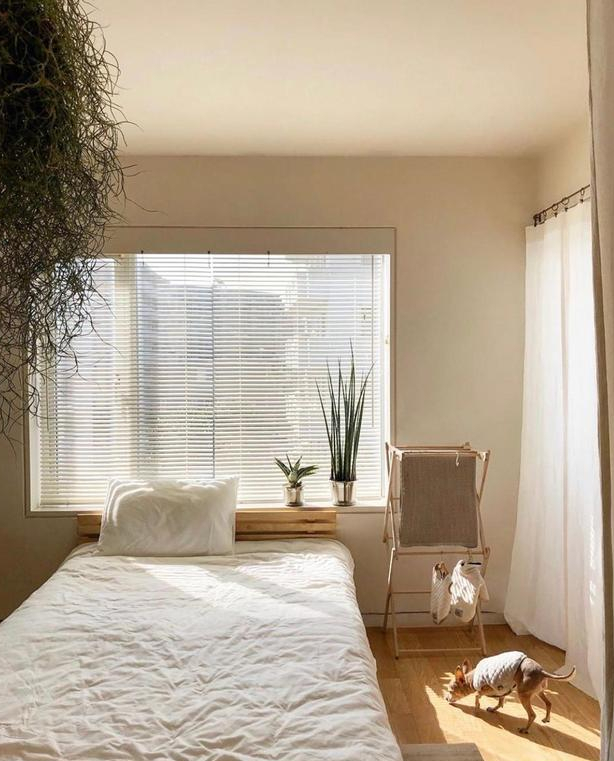 独居6年！一人独居有狗相伴，家居布置得简单精致，太羡慕了