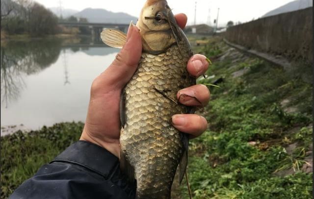 饵料|冬季如何选钓点？务必记住这个选择顺序，实战经验总结！