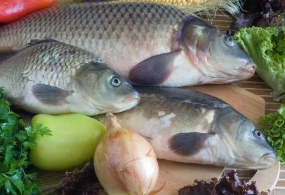 兰兰侃视界|常吃鱼对身体是好是坏?提醒:这3种鱼尽量少吃,不妨看看