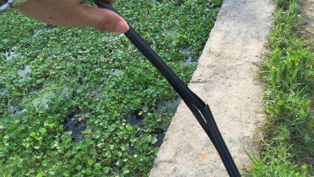 |钓鱼时，如何操作才既能上鱼又不伤鱼竿？只要把这3点练熟就行了