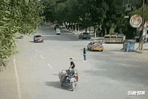 江西|“游泳的时候从水里捞的，不是蝌蚪，它到底是什么？”哈哈哈哈