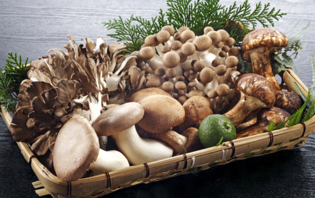 菠菜|不能二次加热的6种食物，提前了解一下，下次可别再吃错了