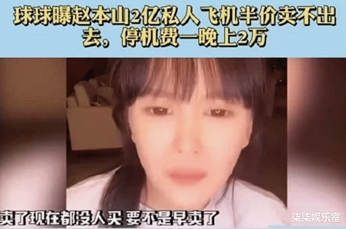 赵本山|赵本山公司违法被查，花2亿巨资购买的飞机有内幕，严查到底