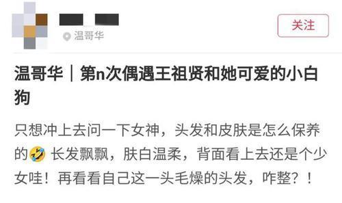 时尚风行派|54岁王祖贤近照曝光！穿粉裙遛狗背影嫩得像少女，年轻美貌太罕见