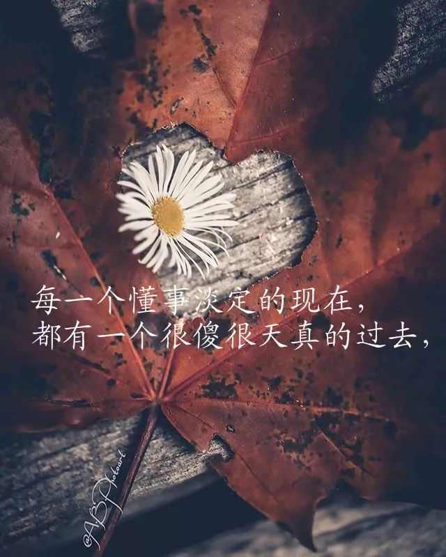 幕池文案馆|写到心窝里的经典情感语录，字字透彻，句句触动心灵！