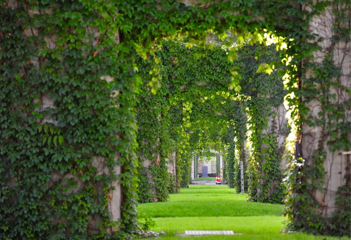 杭州 中国最美高架路，全长28公里没有一个红绿灯，犹如绿色“城堡”