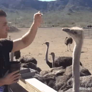 书尽心生|神回复:弓箭瞄不准还易消耗,为什么世世代代相传下来了呢?