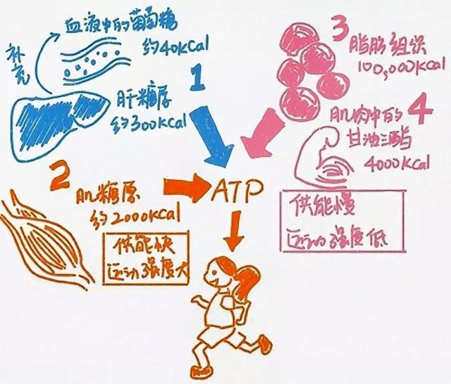 运动|那些备受追捧的圈内谎言