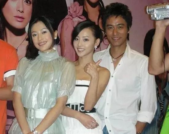 张嘉倪|“蛇蝎阔太”张嘉倪的上位之谜