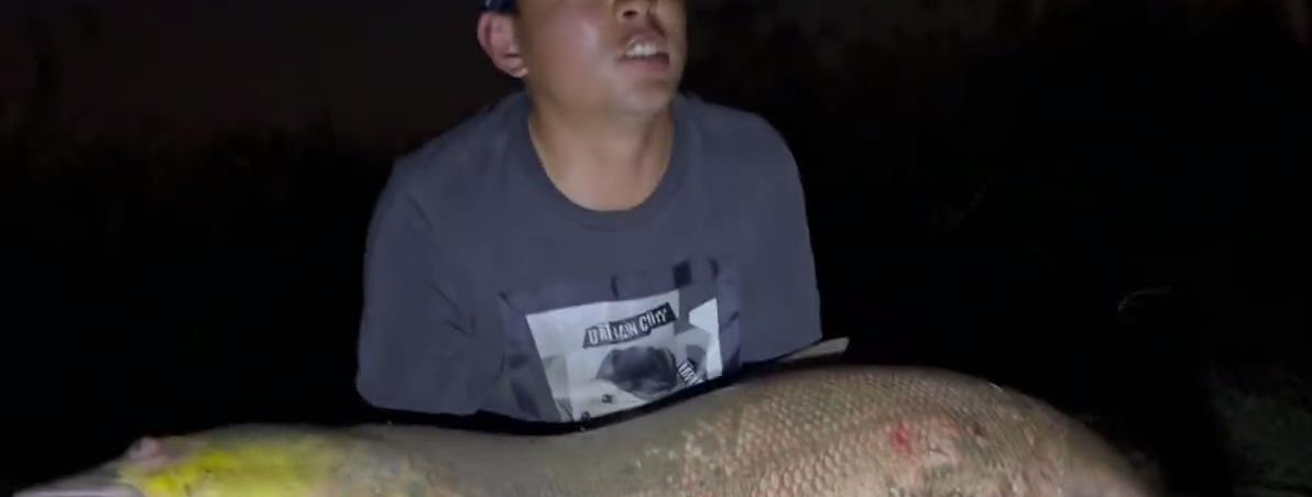 老虎|从下午钓到晚上！洪湖钓友遭遇78斤大型水老虎，耗时2小时才钓起