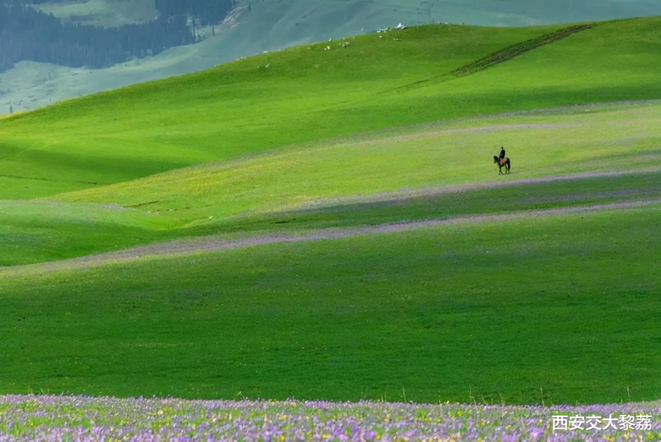 |为了自身的目的