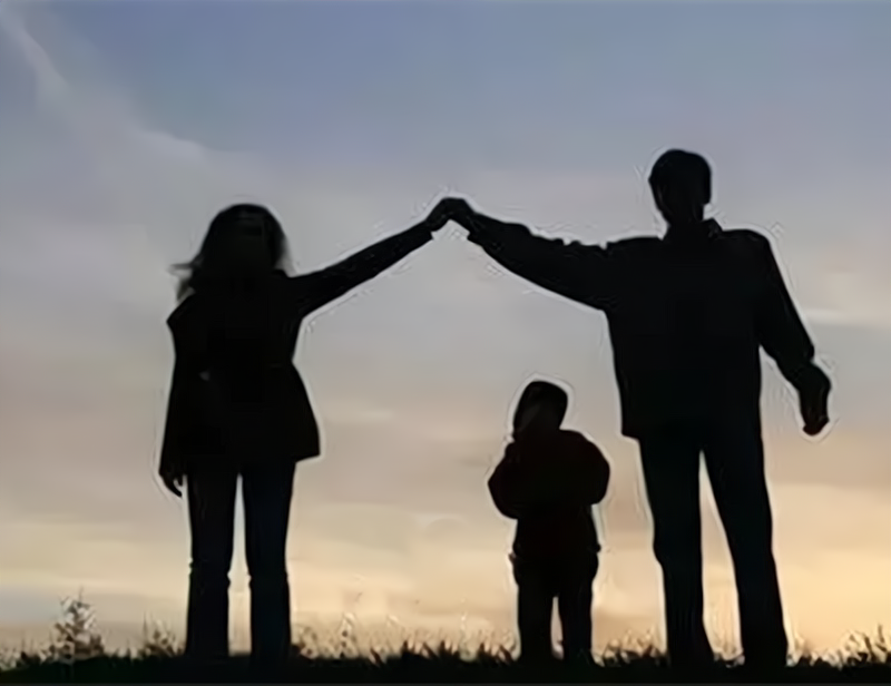 桂阳 因爱杀人的姐姐：佛山活埋兄妹案