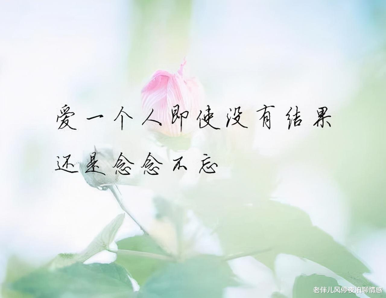 老伴儿风停夜泊聊情感|七夕，致深爱过的人：谢谢你，出现在我的生命里