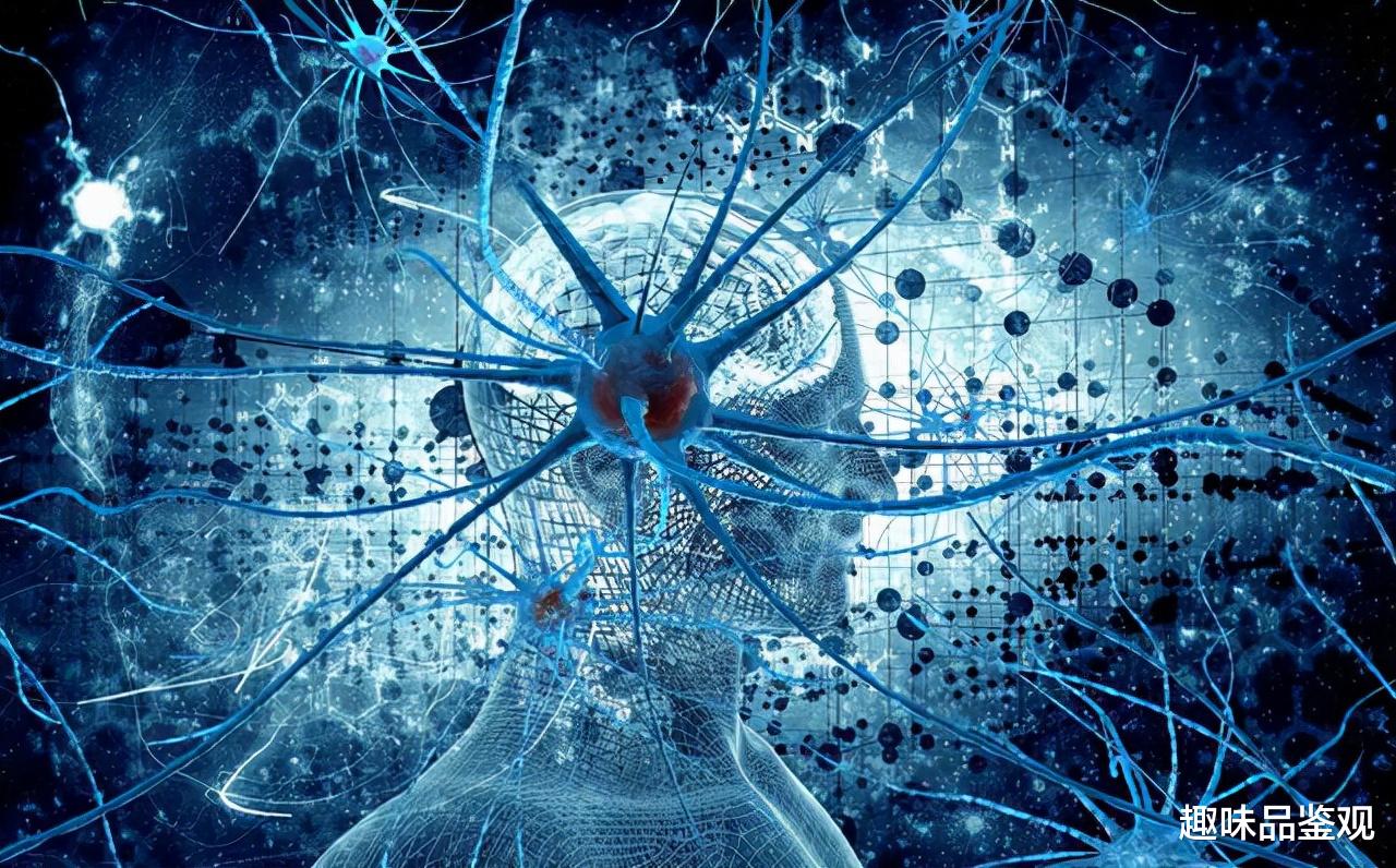 囚犯 两股外星势力早已交火，起因是人类，我们是流放的星际“囚犯”