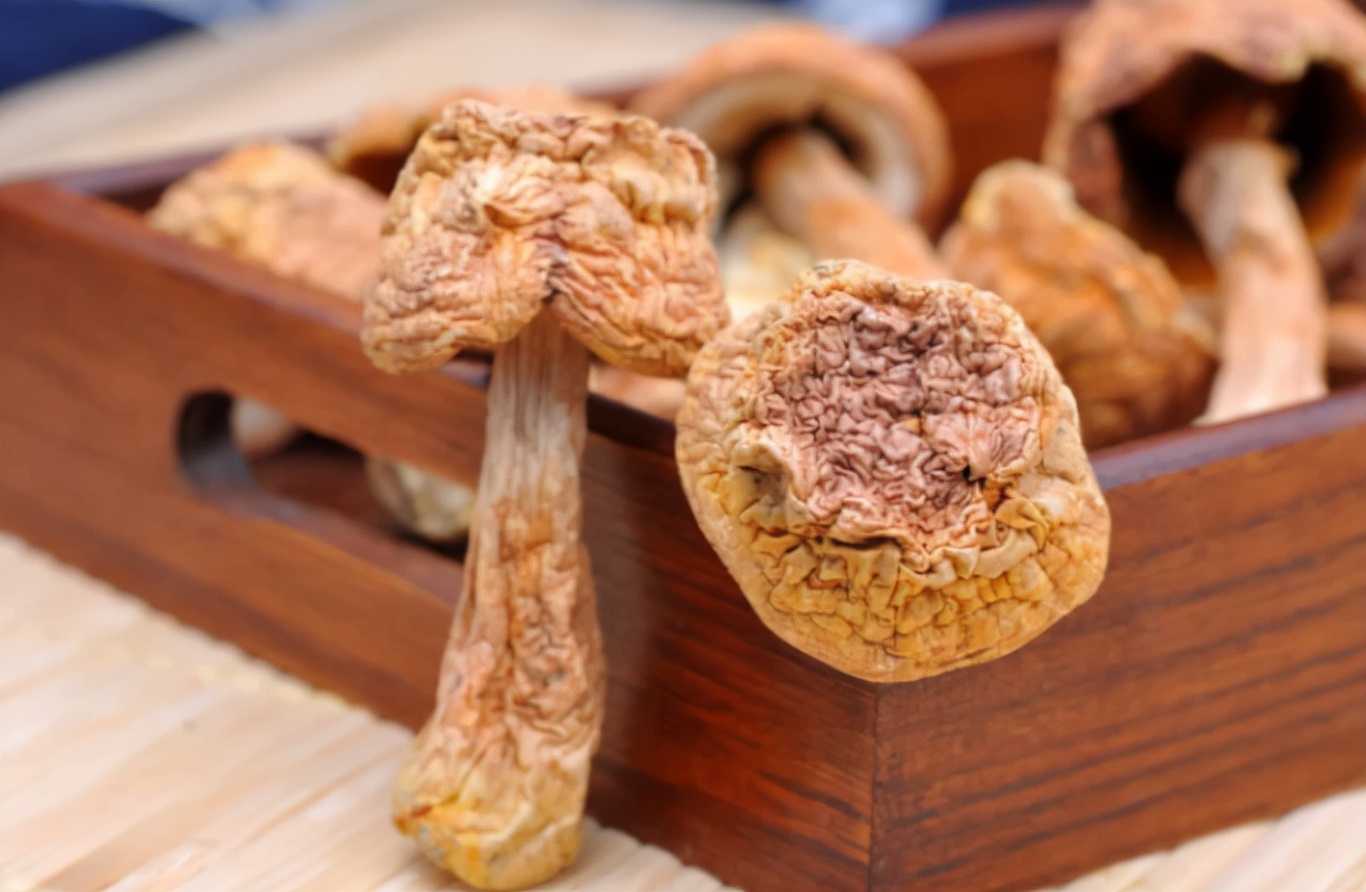 转氨酶|16岁女孩身上长满“疙瘩”,确诊HPV阳性,医生:无知,这东西怎么能用!