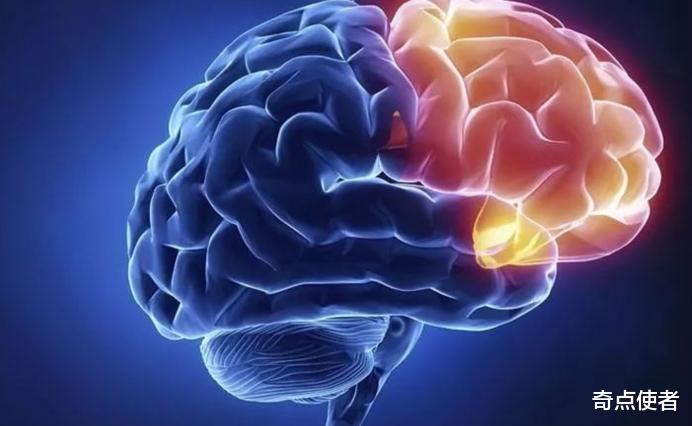 科学家 距离“克隆人”又近一步？德国科学家培育迷你大脑，已长出眼睛