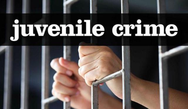 北美留学生日报 可怕!15岁女孩儿弑母藏尸冷库!是什么让她对母亲下此毒手?