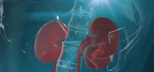 木耳|木耳是肾衰竭“发物”吗？养肾护肾：少吃3菜，常喝2茶，做好1事