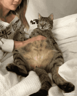 火车站大妈吆喝的50元一晚的宾馆能睡吗?有人试过吗?有点害怕啊!