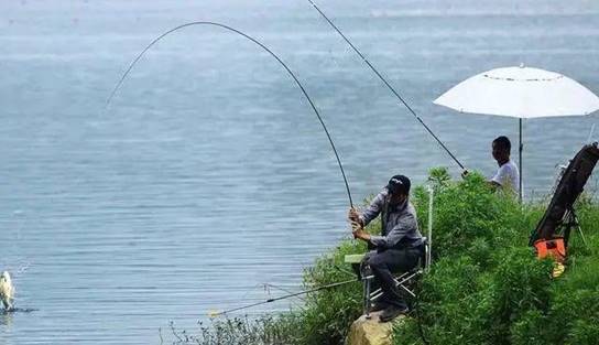 饵料|深秋时节渔获不佳？做好这三点，提高渔获很简单